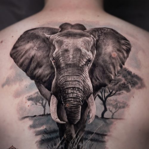 Elephant-africa-whildlafe-trees-back-tattoo-shamack-realism-black-and-gray