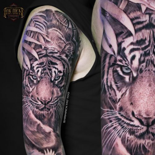 tiger-realism-shamack-inkden-tattoo-Blackpool