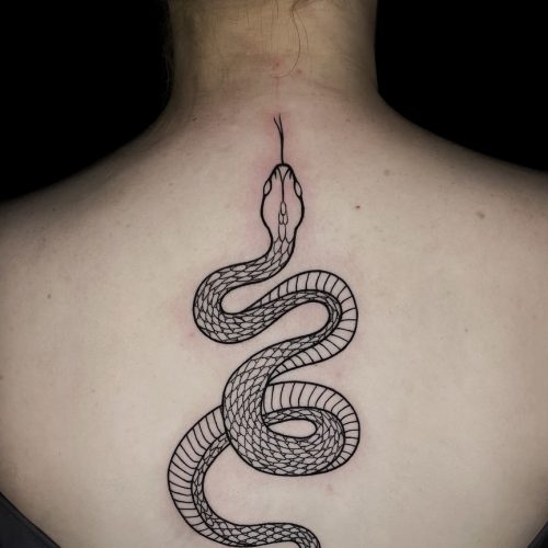 adrianna-urban-snake-back-piece-linework-blackwork-inkden-tattoo-studio-blackpool