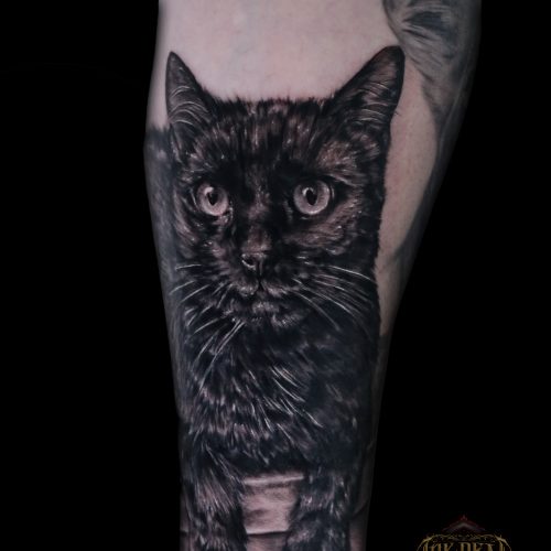 cat-black-grey-chris-Strach-inkden-tattoo-Blackpool
