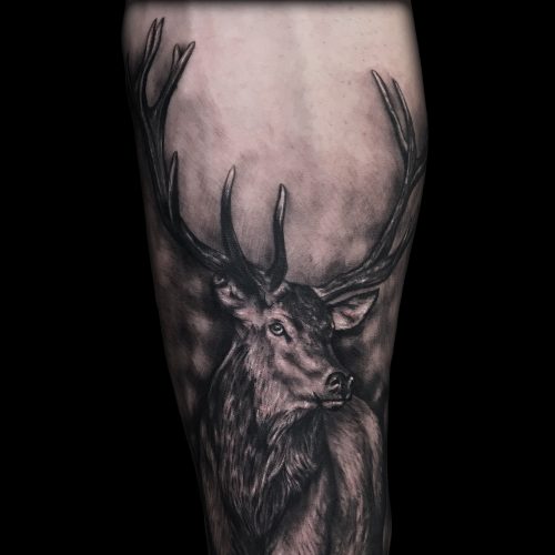 deer-grey-chest-realistic-chris-Strach-inkden-tattoo-Blackpool