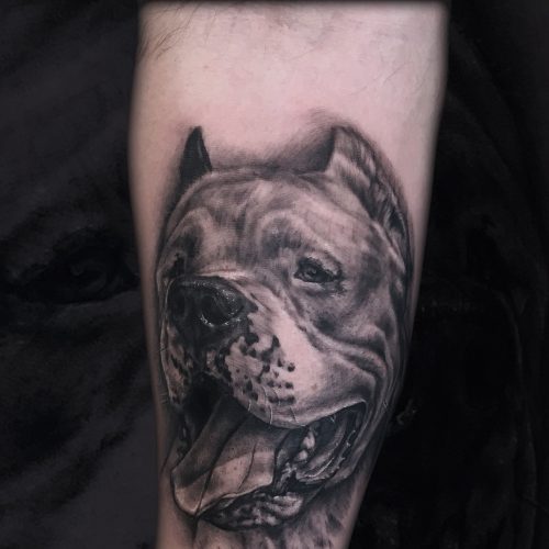 dog-realistic-portrait-chris-Strach-inkden-tattoo-Blackpool
