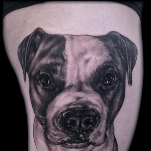 dog-staffy-realistic-portrait-chris-Strach-inkden-tattoo-Blackpool
