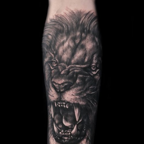 lion-realistic-black-grey-chris-Strach-inkden-tattoo-Blackpool
