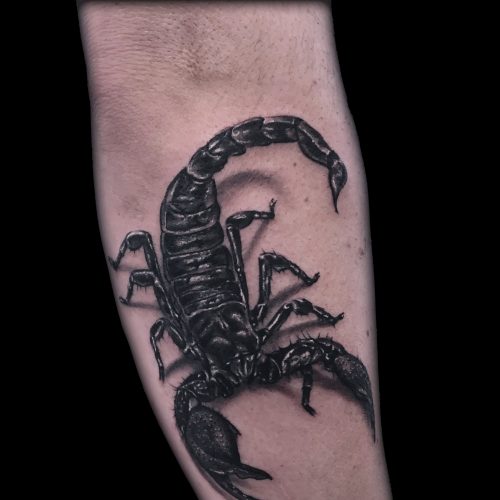 scorpion-black-grey-chris-Strach-inkden-tattoo-Blackpool