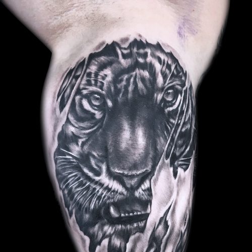 tiger-realistic-black-grey-chris-Strach-inkden-tattoo-Blackpool