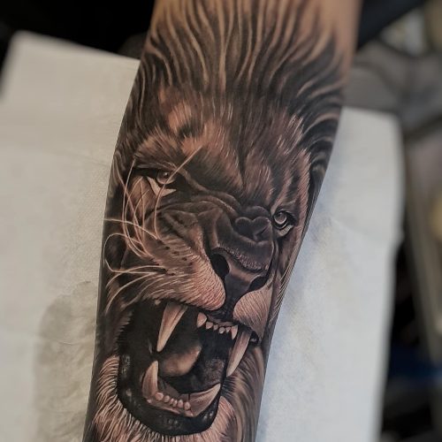 Lion-angry-tattoo-forearm-by-Pedro-VanDiesel-Tattoo_Inkden-Tattoo-Studio_Blackpool