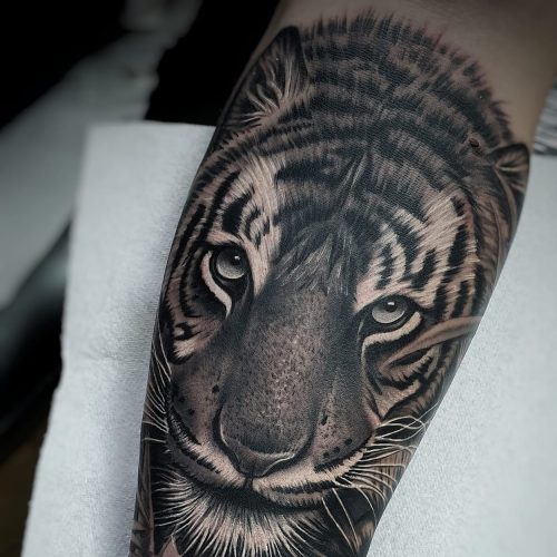 Tiger-with-rose-tattoo-by-Pedro-VanDiesel-Tattoo_Inkden-Tattoo-Studio_Blackpool