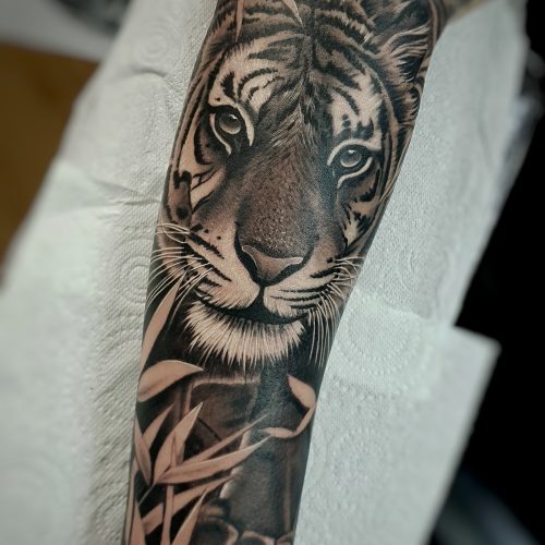 Tiger-realism-by-Pedro-VanDiesel-Tattoo_Inkden-Tattoo-Studio_Blackpool