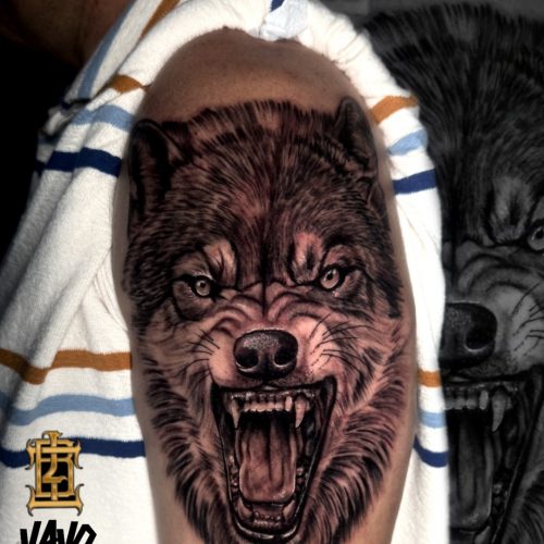 Wolf-black-and-grey-snarlin-Luke-Tattoo-Inkden-Blackpoolg-vicious-detailed-upperarm-Luke-Tattoo-Inkden-Blackpool